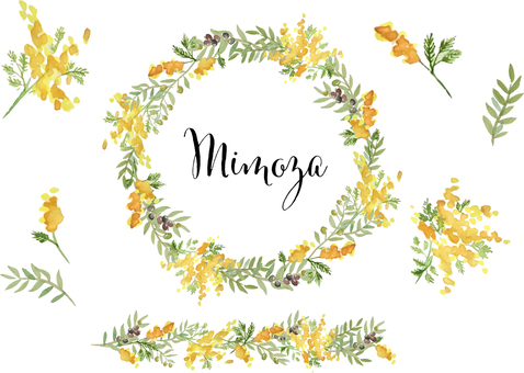 Olive and mimosa watercolor frame Olive and mimosa watercolor frame
