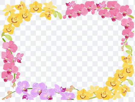 Orchid flower frame Orchid flower frame