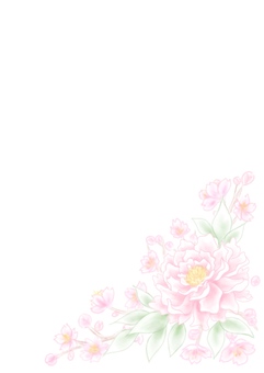 Peony flowers Peony flowers