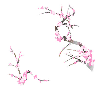 Plum blossom Plum blossom