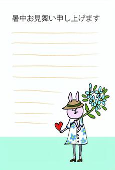 Flower bunny hot weather sympathy Flower bunny hot weather sympathy
