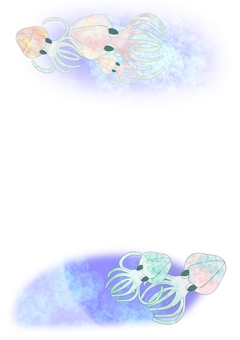 Aori squid (with background) Aori squid (with background)