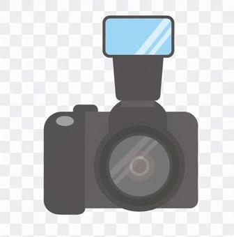 Single lens reflex with strobe Single lens reflex with strobe