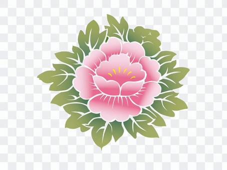 Peony flowers Peony flowers