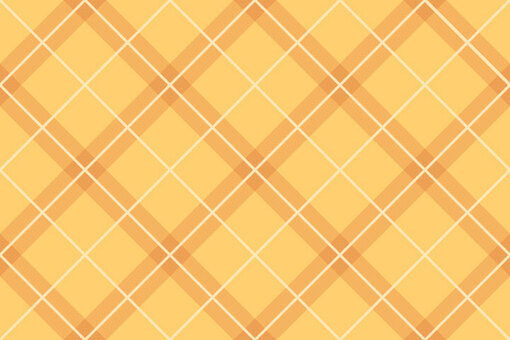 Check (for web) Orange Check (for web) Orange