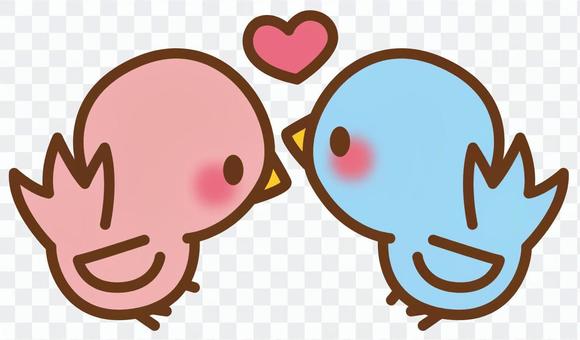 Bird * Couple Bird * Couple