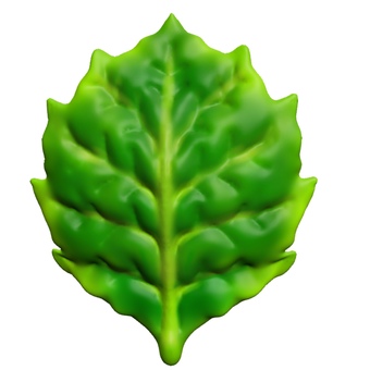 Herbal deformed CG Herbal deformed CG