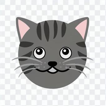 Cat's face Cat's face