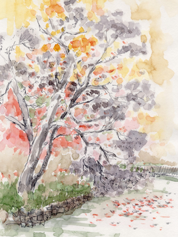 Autumn wind Autumn wind