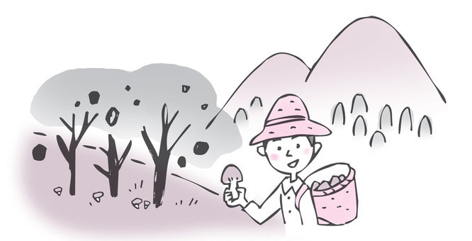Mushroom hunting Mushroom hunting