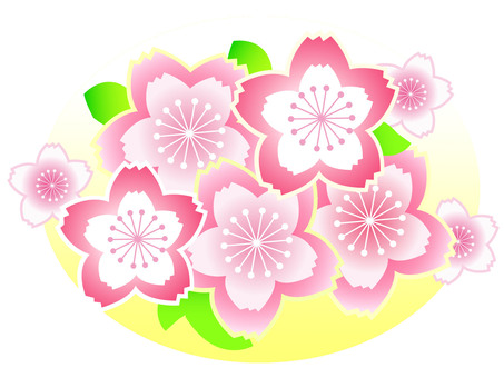 For cherry tree one point For cherry tree one point