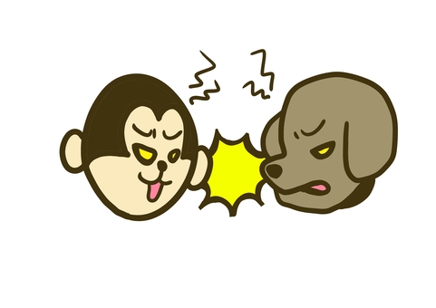 Dog monkey friend Dog monkey friend