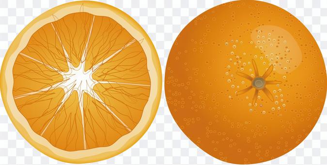 オレンジ ネーブル みかん オレンジ ネーブル みかん