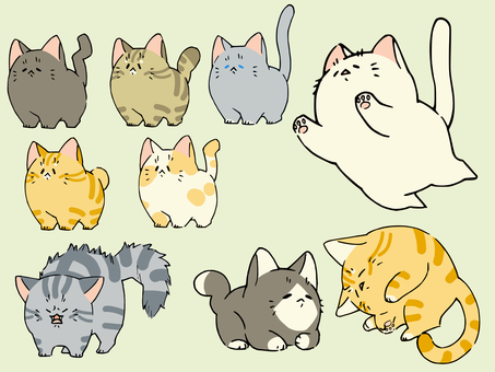 The second set of loose cats The second set of loose cats