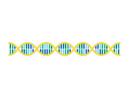 Double helix structure of DNA Double helix structure of DNA