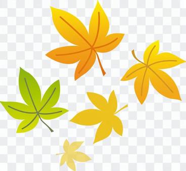 Autumn leaves point 3 Autumn leaves point 3