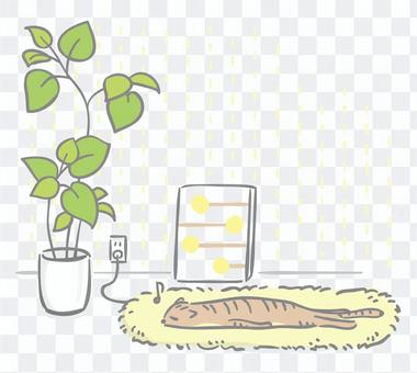 Interior corner decoration cat and umbellata Interior corner decoration cat and umbellata