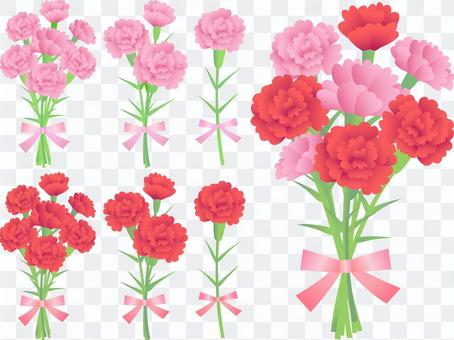 70405, Carnation, Set 70405, Carnation, Set