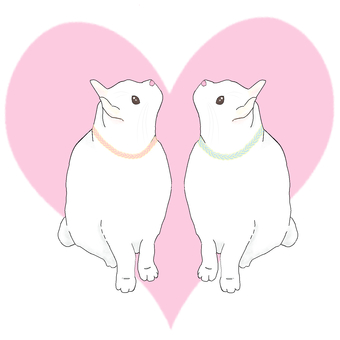 LOVE cat (heart size) LOVE cat (heart size)