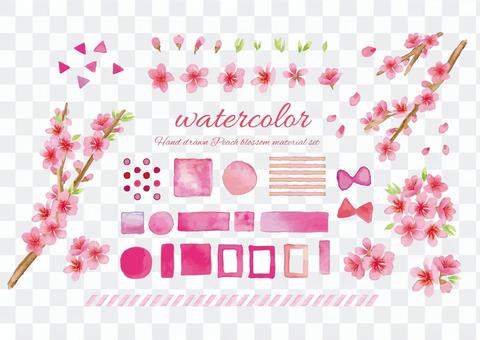 Watercolor style peach blossom and material set Watercolor style peach blossom and material set