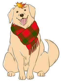 Autumn golden retriever Autumn golden retriever