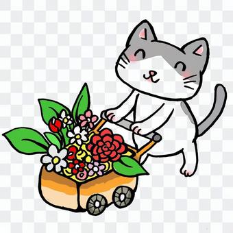 Flower shop of cat Flower shop of cat
