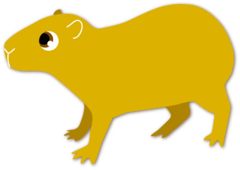 Capybara Capybara