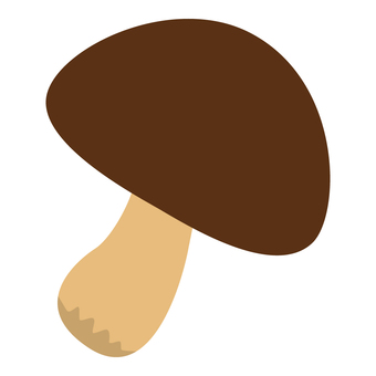 Mushroom (shiitake mushroom) Mushroom (shiitake mushroom)