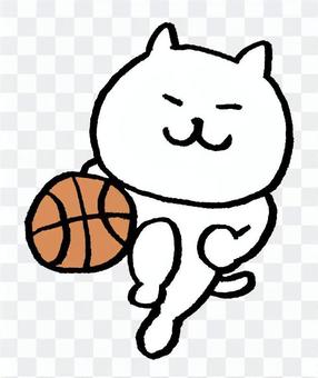 Cat basketball Cat basketball