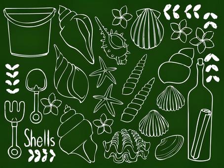 Blackboard seashell Blackboard seashell