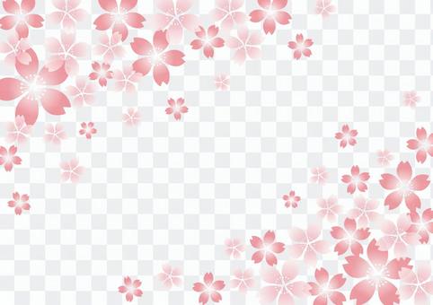 Cherry blossom background Cherry blossom background