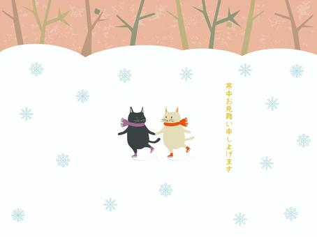 Squid sympathy in the cold in the skating cat Squid sympathy in the cold in the skating cat