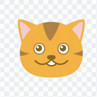Cat's face Cat's face