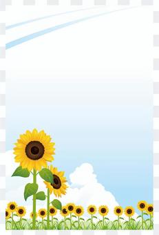 Sunflower and the sky in hot summer backdrop 04 Sunflower and the sky in hot summer backdrop 04