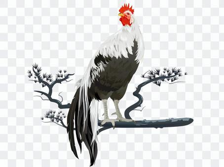 Rooster year chicken, chicken, chicken whole body material 06 Rooster year chicken, chicken, chicken whole body material 06