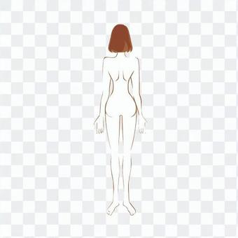 Female whole body (back) Female whole body (back)