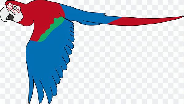 Illustac關鍵詞搜尋 Macaw Illustac Illustac關鍵詞搜尋 Macaw Illustac