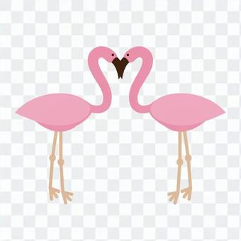 A couple of flamingos A couple of flamingos