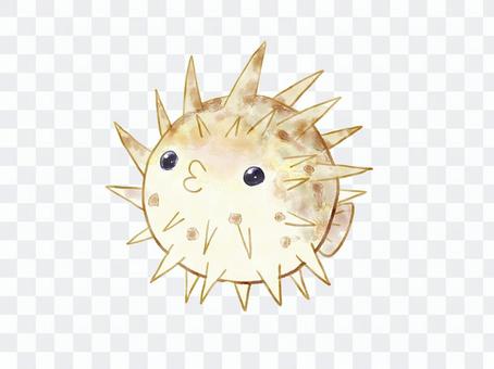 Porcupinefish Porcupinefish
