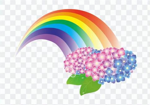 A hydrangea and a rainbow A hydrangea and a rainbow