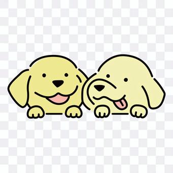 Golden retriever pop illustration Golden retriever pop illustration