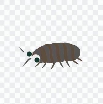 Dung beetle 3 Dung beetle 3