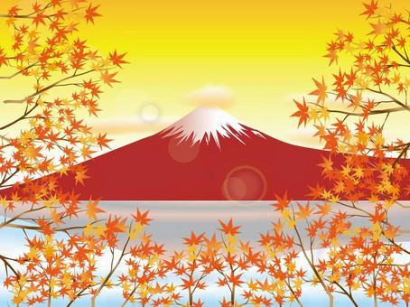 A red Fuji and a maple A red Fuji and a maple