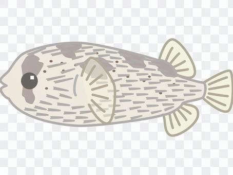 Harrisenbon Harrisenbon