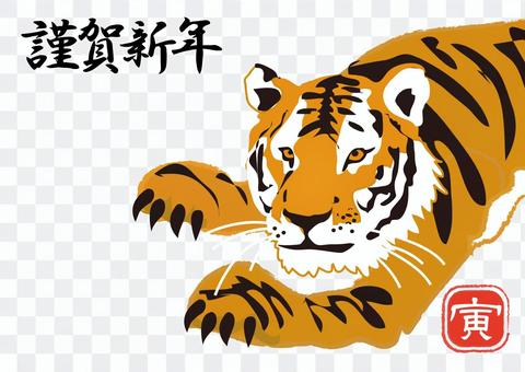 Animals _ Tiger 5 Animals _ Tiger 5