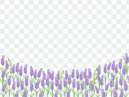 Lavender field Flower field watercolor Wind background illustration Lavender field Flower field watercolor Wind background illustration