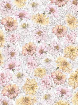 Floral frame 306 - smart case 7 Floral frame 306 - smart case 7