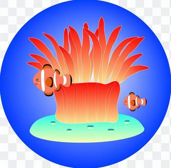 Sea anemone & anemone icon Sea anemone & anemone icon