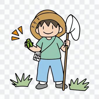 Insect catching boy, child collecting insects Insect catching boy, child collecting insects