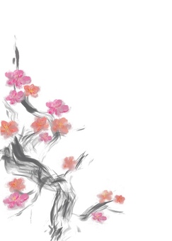 Plum blossom-no background-hagaki size Plum blossom-no background-hagaki size